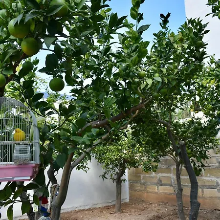 Accommodatie bij particulieren Secret - Lily Tarxien