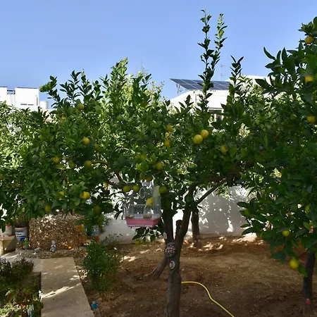 Secret - Lily Accommodatie bij particulieren