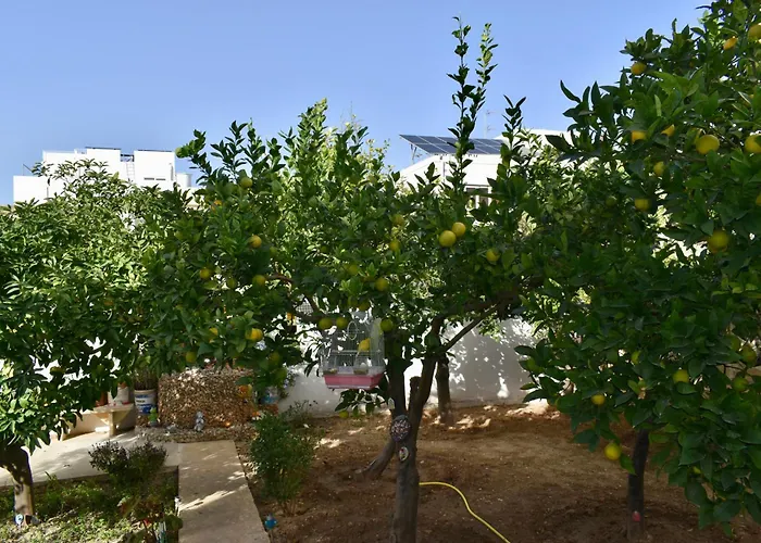 Secret - Lily Accommodatie bij particulieren