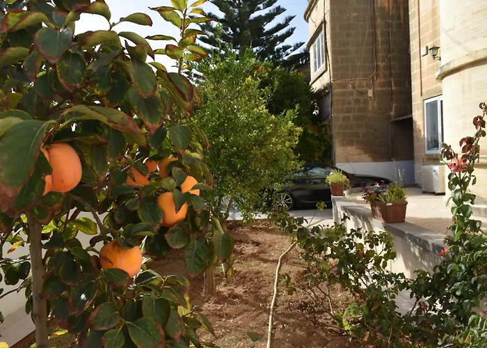 Secret - Lily Accommodatie bij particulieren *