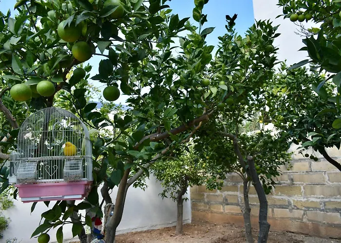 Homestay Secret - Lily Tarxien