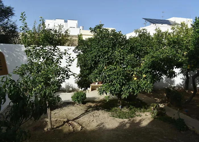 Homestay Secret - Lily *